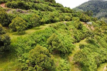 Bilut, Bentong, Sang Lee Raub, Bilut, Sang Lee, Raub , Bentong