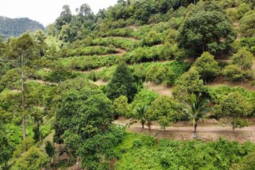 Bilut, Bentong, Sang Lee Raub, Bilut, Sang Lee, Raub , Bentong