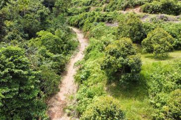 Bilut, Bentong, Sang Lee Raub, Bilut, Sang Lee, Raub , Bentong