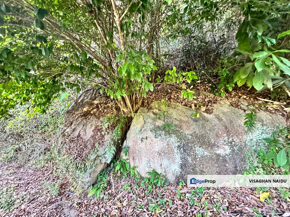 Balik Pulau Agri land Selling below market value, Penang, Balik Pulau