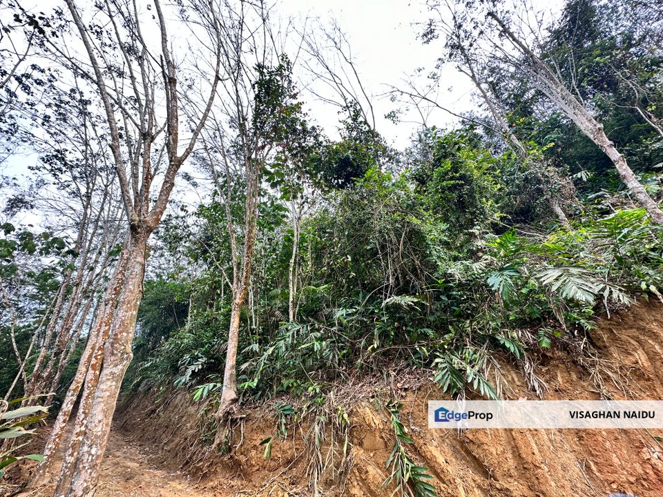 Taman Industry Bentong, Pahang, Bentong