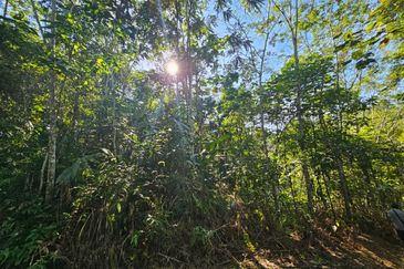 Lee Rubber Bentong, Pahang