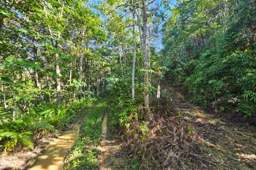 Lee Rubber Bentong, Pahang