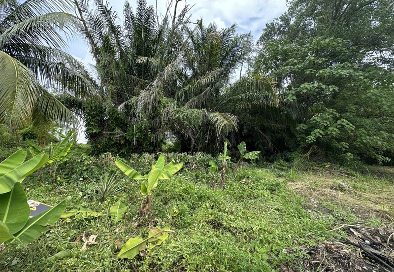 Bungalow Land for Sale Desa 2 Bandar Country Homes Rawang