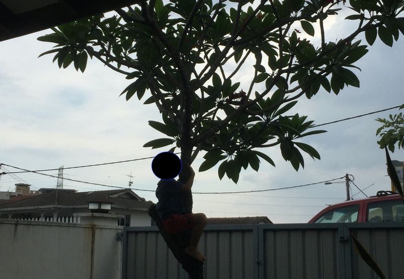 Seksyen 3, Petaling Jaya