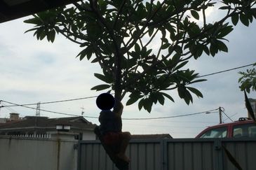 Seksyen 3, Petaling Jaya