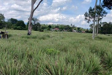 Tanah Pertanian Beranang Tengah