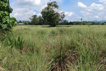 Tanah Pertanian Beranang Tengah