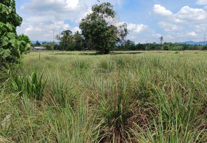 Tanah Pertanian Beranang Tengah