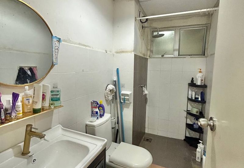 Penaga @ Taman Raintree