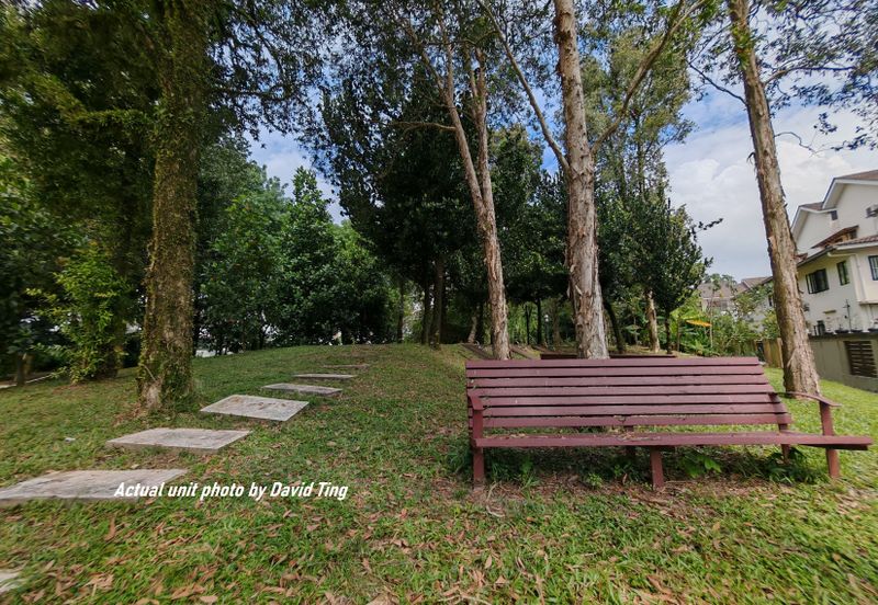 Lake Fields - Meadows and Glades