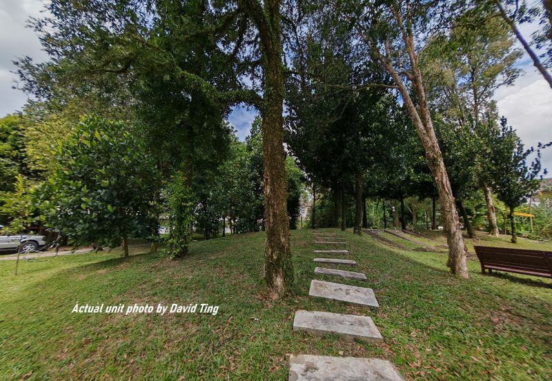 Lake Fields - Meadows and Glades