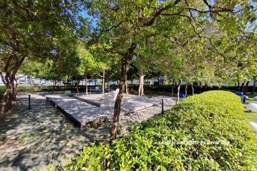 The Grove @ Lake Fields