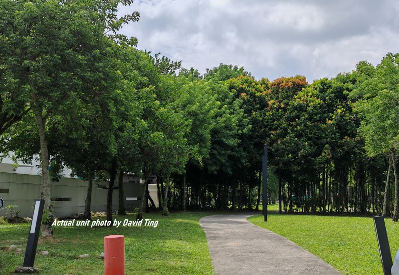 Lake Fields - Meadows and Glades