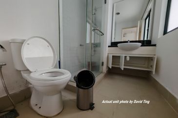 Lake Fields - Meadows and Glades