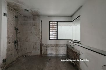 Lake Fields - Meadows and Glades