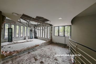 Lake Fields - Meadows and Glades