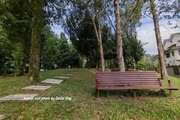 Lake Fields - Meadows and Glades