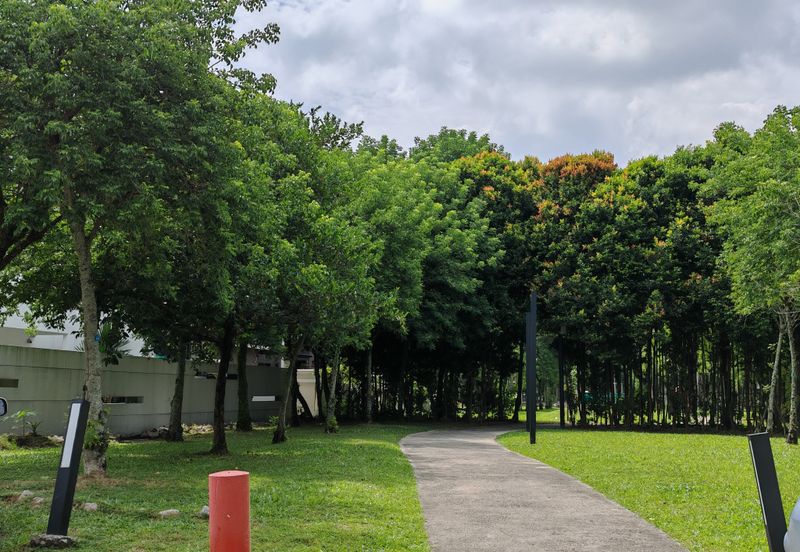 Lake Fields - Meadows and Glades