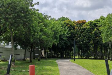 Lake Fields - Meadows and Glades