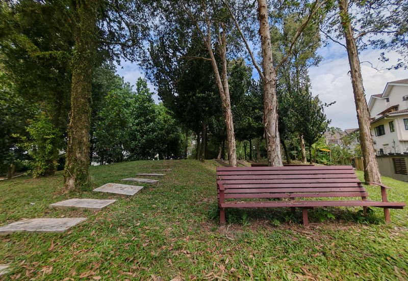 Lake Fields - Meadows and Glades