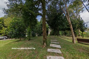 Lake Fields - Meadows and Glades