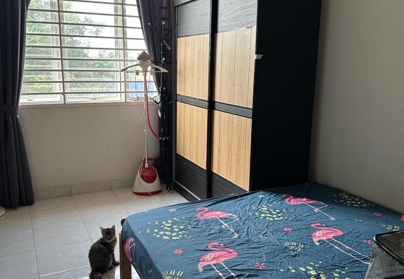 HILLPARK  AT SHAH ALAM NORTH , PUNCAK ALAM