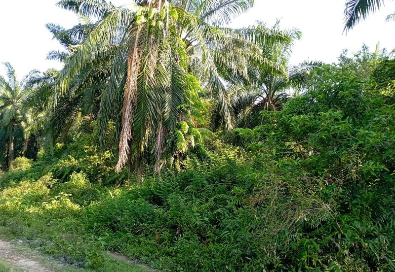 Jalan Kampung Perepat 