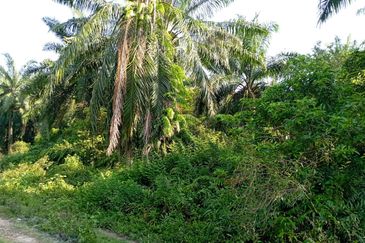 Jalan Kampung Perepat 