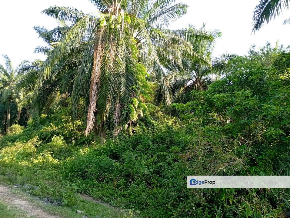 Agriculture land for Sale, Selangor, Kapar 