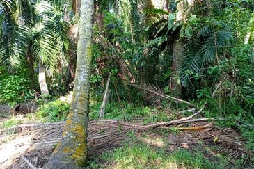 Jalan Kampung Perepat 