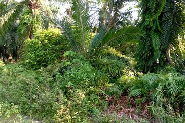 Jalan Kampung Perepat 