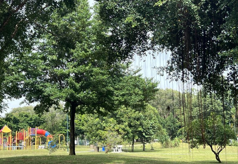 Large Corner Lot Double Storey Terrace – Below Market Value !!