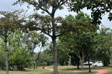 Below-market price: large corner lot double-storey terrace home for sale