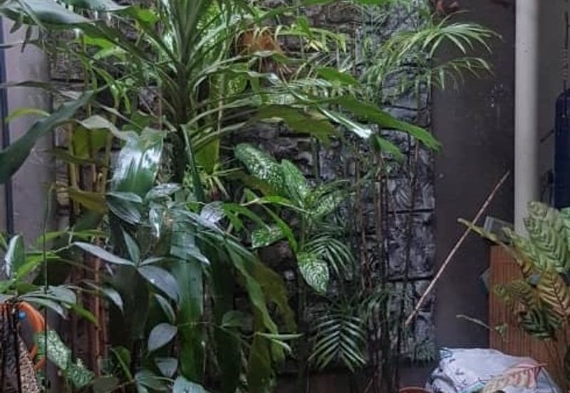 2.5 storey Shophouse @ Main Bazaar Kuching 