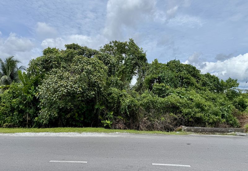 Vacant Land, Jalan Stapok Utama