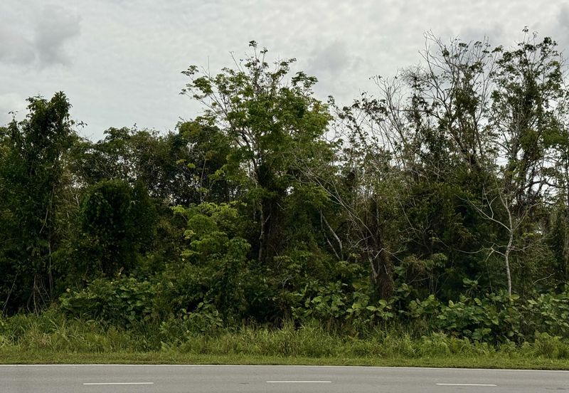 Vacant Land Jalan Kopodims, Matang