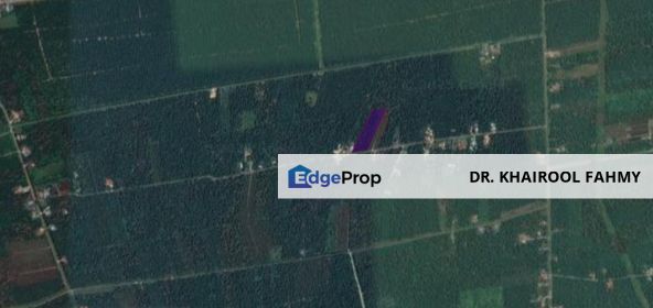 Tanah Pertanian 3.23 Ekar Pontian Kampung Parit Tasrip, Johor, Pontian