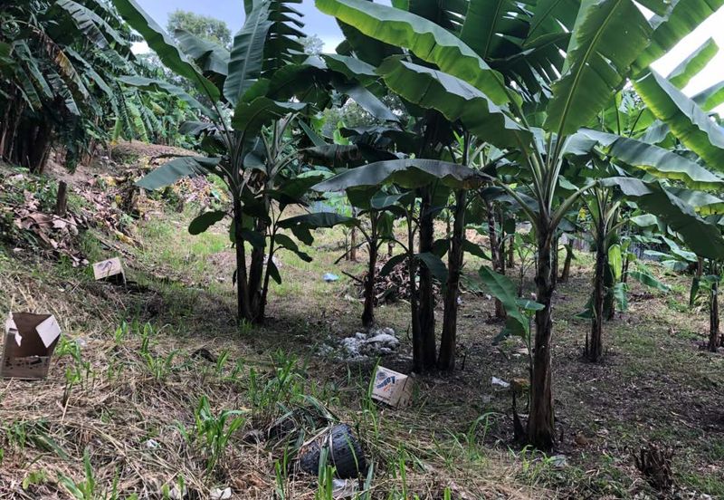 Shah Alam, Subang Permata, Kampung Subang Baru