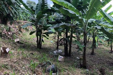 Shah Alam, Subang Permata, Kampung Subang Baru