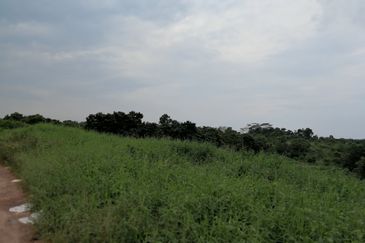 Batu Pahat agriculture land