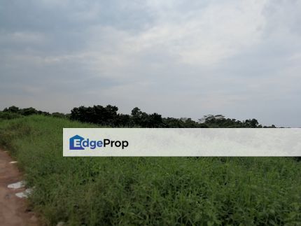 Batu Pahat agriculture land, Johor, Batu Pahat