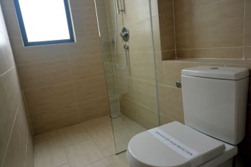 Lake Fields - Trilliums