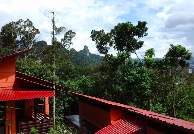 Hill resort surrounded by nature (RM70psf)