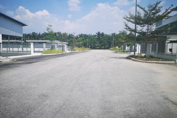 Ijok , puncak alam , sungai buloh