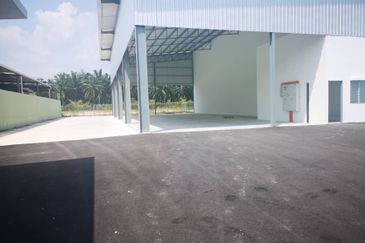 Ijok , puncak alam , sungai buloh
