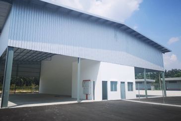 Ijok , puncak alam , sungai buloh