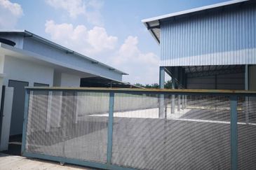 Ijok , puncak alam , sungai buloh