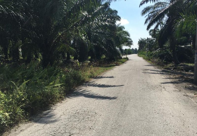 Agricultural land (Ind Zon), Black Water, Klang 
