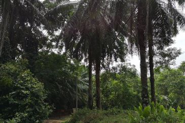  Kajang Residential Development Land For Sale